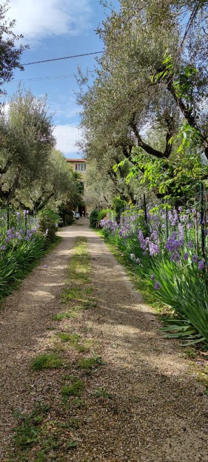 Agli Ippocastani Appartamento Perugia